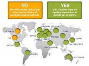20120614-GMO-labeling-map.jpg.492x0_q85_crop-smart