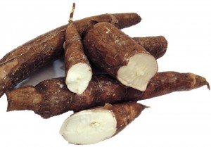 Yuca Cassava